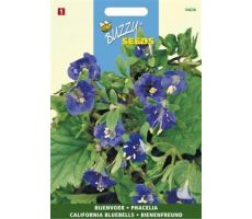 Buzzy® Phacelia, Bijenvoer - afbeelding 1