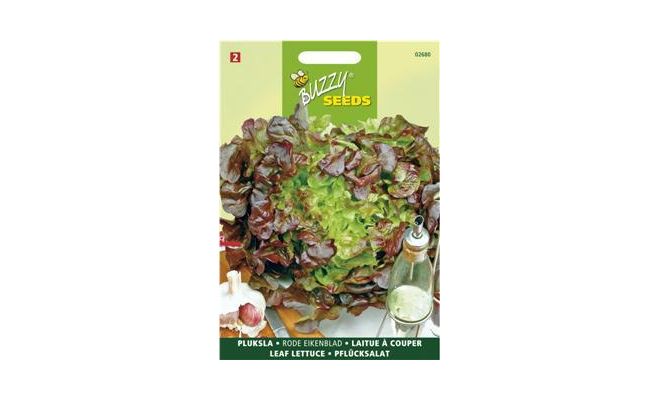 Buzzy® Pluksla Red Salad Bowl, Rode Eikenblad - afbeelding 1