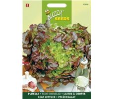 Buzzy® Pluksla Red Salad Bowl, Rode Eikenblad - afbeelding 1