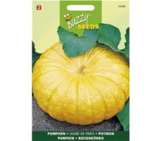 Buzzy® Pompoen Gele Reuzen - afbeelding 1