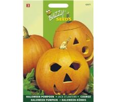 Buzzy® Pompoenen Jack O'Lantern (Cucub.Pepo) - afbeelding 1