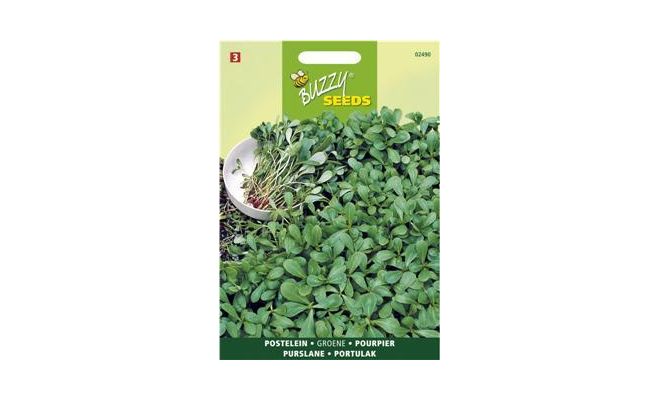 Buzzy® Postelein Groene - afbeelding 1