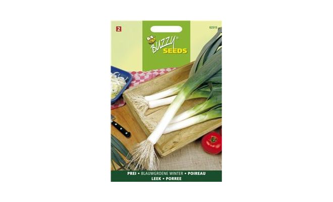 Buzzy® Prei Blauwgroene Winter - afbeelding 1