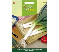 Buzzy® Prei Blauwgroene Winter - afbeelding 2