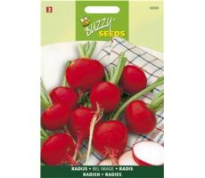 Buzzy® Radijs Bel Image, Ronde Rode Kortlof - afbeelding 1