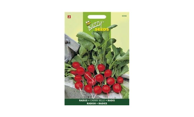 Buzzy® Radijs Cherry Belle - afbeelding 1