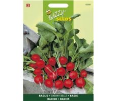 Buzzy® Radijs Cherry Belle - afbeelding 1