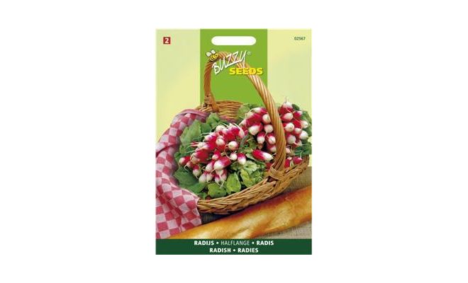 Buzzy® Radijs French Breakfast 3 - afbeelding 1