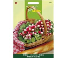 Buzzy® Radijs French Breakfast 3 - afbeelding 1