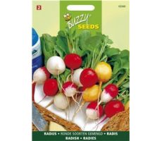 Buzzy® Radijs Ronde soorten gemengd - afbeelding 1