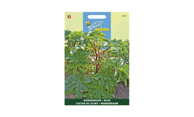 Buzzy® Ricinus, Wonderboom gemengd - afbeelding 1