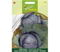 Buzzy® Rodekool Langedijker Bewaar 2 - afbeelding 2