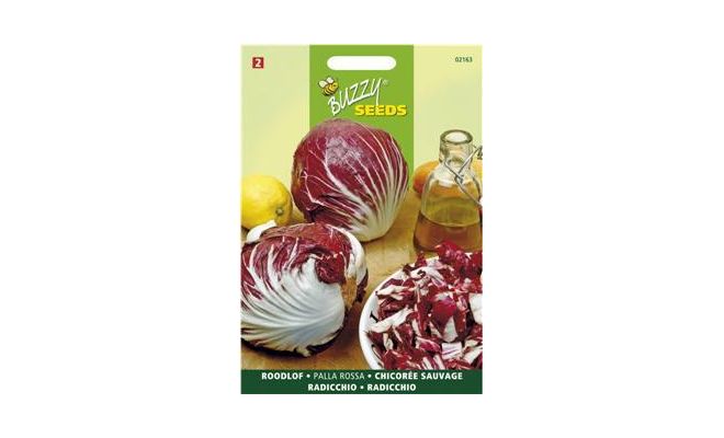 Buzzy® Roodlof Rossa di Chioggia 3 - afbeelding 1