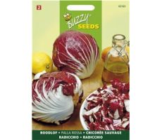 Buzzy® Roodlof Rossa di Chioggia 3 - afbeelding 1