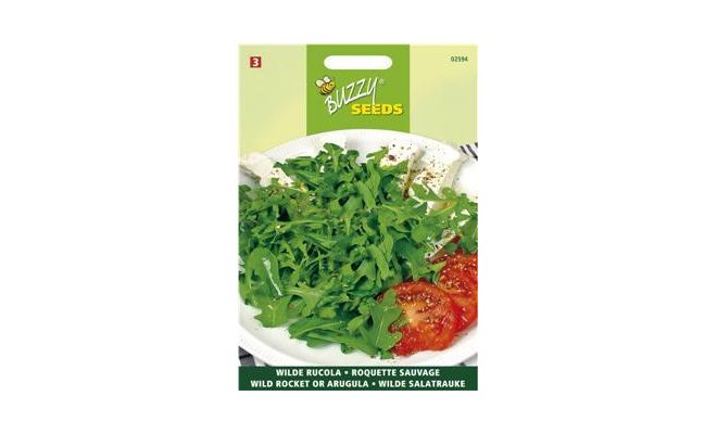 Buzzy® Rucola Selvatica - afbeelding 1