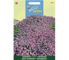 Buzzy® Saponaria, Zeepkruid - afbeelding 1