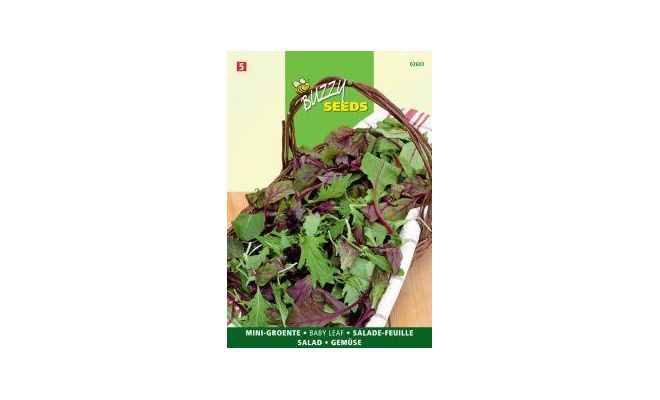 Buzzy® Sla Babyleaf mengsel