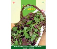 Buzzy® Sla Babyleaf mengsel