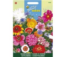 Buzzy® Snijbloemen Mengsel - afbeelding 1