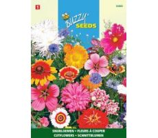 Buzzy® Snijbloemen Mengsel - afbeelding 2