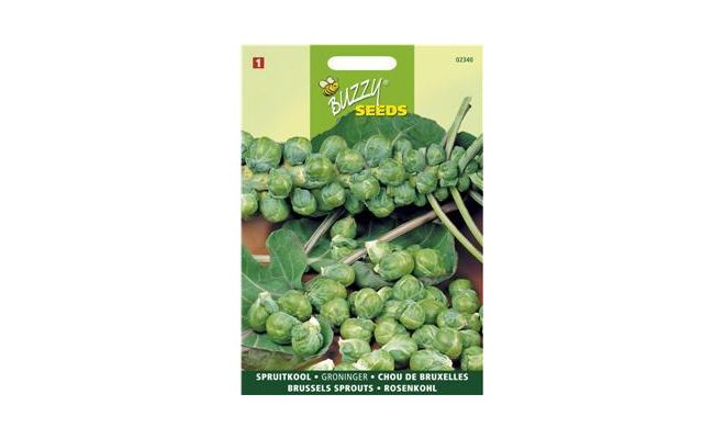 Buzzy® Spruitkool Groninger - afbeelding 1