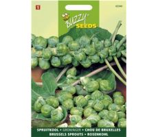 Buzzy® Spruitkool Groninger - afbeelding 1