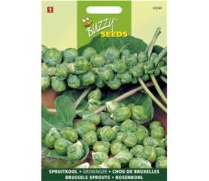 Buzzy® Spruitkool Groninger - afbeelding 2