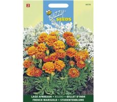 Buzzy® Tagetes, lage Afrikaan Bolero - afbeelding 1