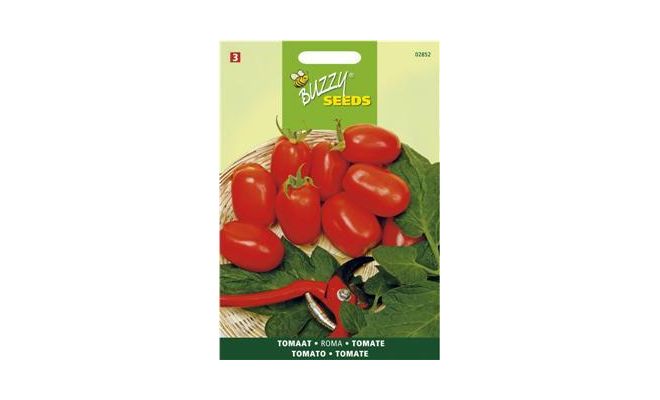 Buzzy® Tomaat Roma VF - afbeelding 1
