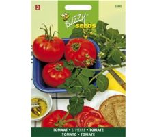 Buzzy® Tomaat Saint Pierre, Grote Vollegrondse - afbeelding 1