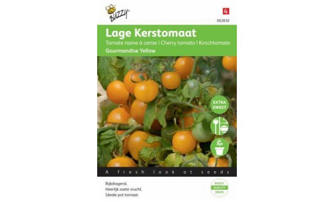 Buzzy® Tomaten Gourmandise (gele cherry patio)