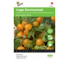 Buzzy® Tomaten Gourmandise (gele cherry patio)