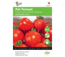 Buzzy® Tomaten Heartbreaker F1