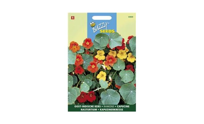 Buzzy® Tropaeolum, Oost-Indische kers enkelbloemig gemengd - afbeelding 1