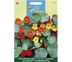 Buzzy® Tropaeolum, Oost-Indische kers enkelbloemig gemengd - afbeelding 1