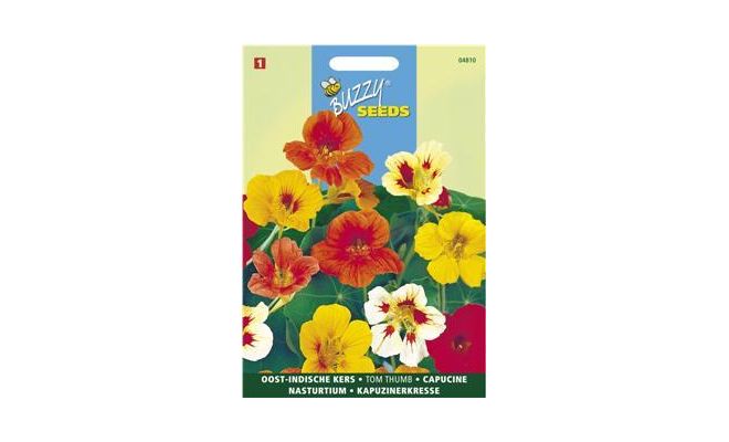 Buzzy® Tropaeolum, Oost-Indische kers Tom Thumb gemengd - afbeelding 1