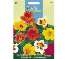 Buzzy® Tropaeolum, Oost-Indische kers Tom Thumb gemengd - afbeelding 1