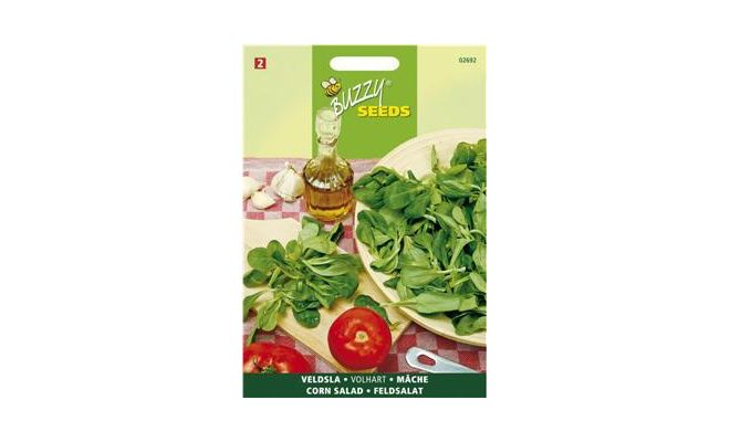 Buzzy® Veldsla Groene Volhart 2 - afbeelding 1