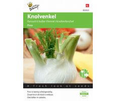 Buzzy® Venkel (Zefa) Fino - afbeelding 2