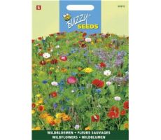 Buzzy® Wildbloemen Mengsel - afbeelding 1