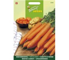 Buzzy® Winterwortel Berlikumer 2 - afbeelding 1