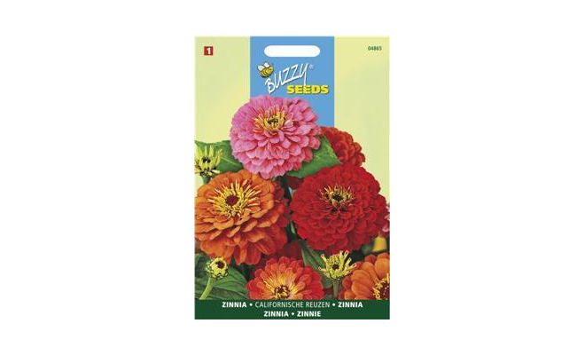 Buzzy® Zinnia Californische Reuzen gemengd - afbeelding 1