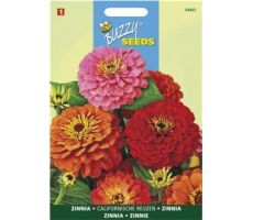 Buzzy® Zinnia Californische Reuzen gemengd - afbeelding 2