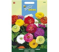 Buzzy® Zinnia Dahliabloemig gemengd - afbeelding 1