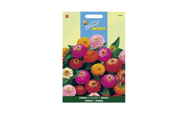 Buzzy® Zinnia Lilliput gemengd - afbeelding 1