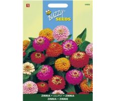 Buzzy® Zinnia Lilliput gemengd - afbeelding 1