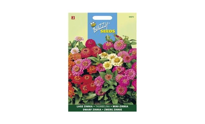 Buzzy® Zinnia Thumbelina gemengd - afbeelding 1