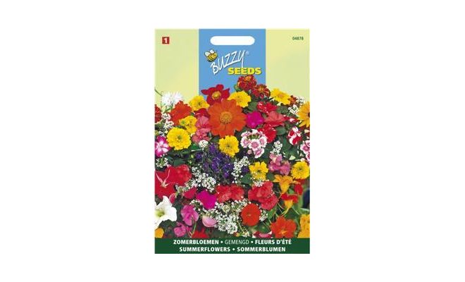 Buzzy® Zomerbloemen gemengd - afbeelding 1