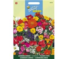 Buzzy® Zomerbloemen gemengd - afbeelding 1