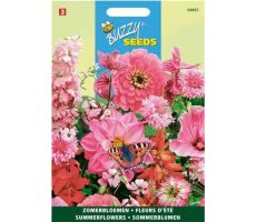 Buzzy® Zomerbloemen Roze en rood mengsel - afbeelding 2